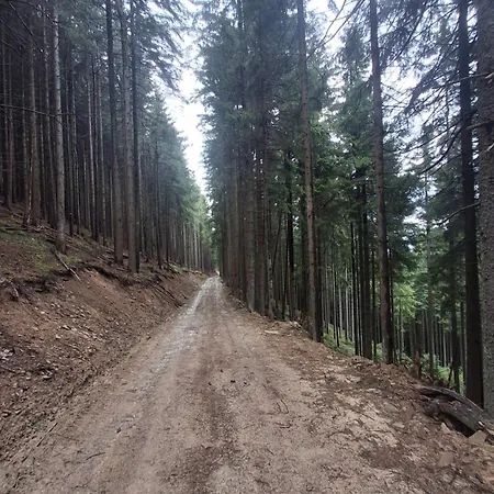 Bukhouse Carpathians Villa