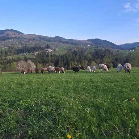 Bukhouse Carpathians *