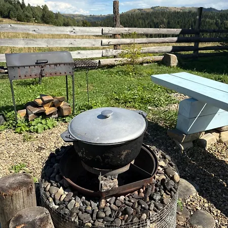 Bukhouse Carpathians Вилла Krivorovnya