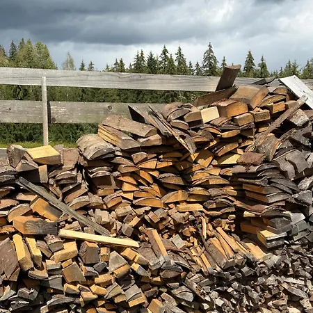 Bukhouse Carpathians Вилла Krivorovnya